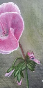 Pink Geranium Flower Painting