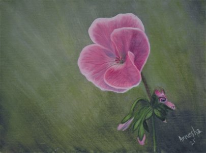 Pink Geranium Flower Painting