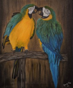 Canvas Print of Original Macaw Bird Oil Painting