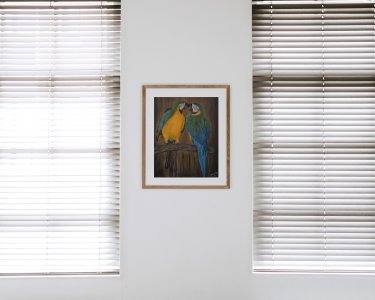 Canvas Print of Original Macaw Bird Oil Painting