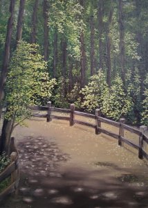 Canvas Print of Original Muir Wood California Landscape