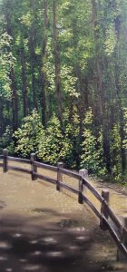 Canvas Print of Original Muir Wood California Landscape