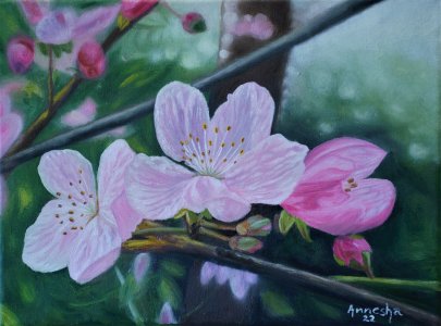 Pink Blossom Flower Oil on Canvas
