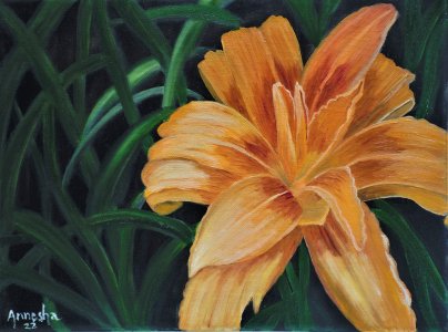 Orange Daylily Wildflower Hand-painted on Canvas