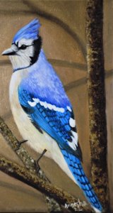 Blue Jay Oil Painting on Canvas