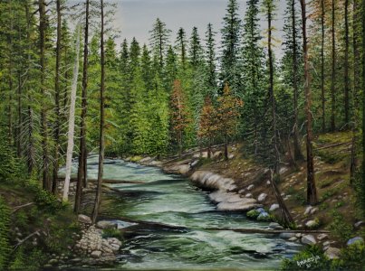 Canvas Print of Original Sequoia National Park Landscape