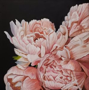 Coral Charm Peonies