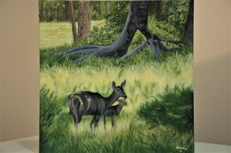 Canvas Prints of the Original The Bond- Mother and Baby Deer