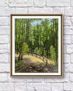 The California Landscape Muir Wood