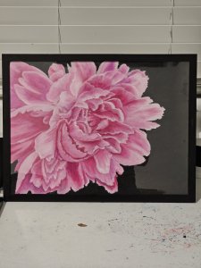 Pink Peonies